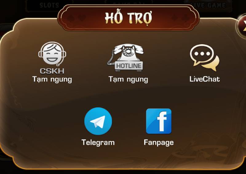 Hỗ trợ người chơi và cộng đồng người dùng